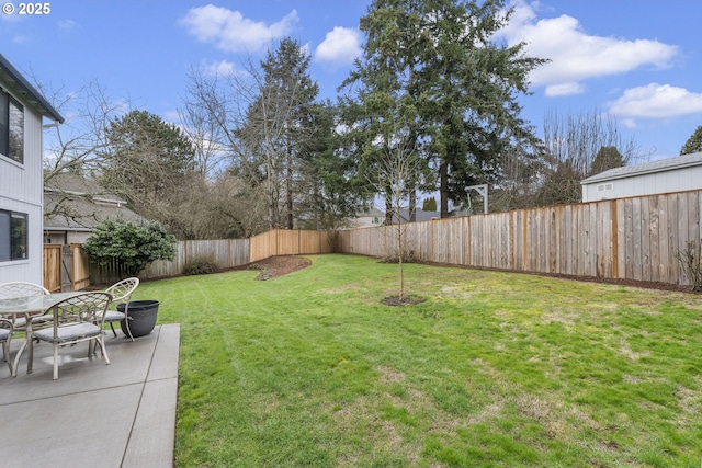 view of yard featuring a patio area