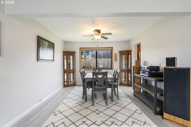 dining room featuring light hardwood / wood-style flooring and ceiling fan