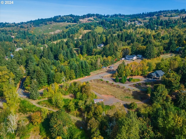 4959 Green Mountain Rd, Kalama WA, 98625 land for sale