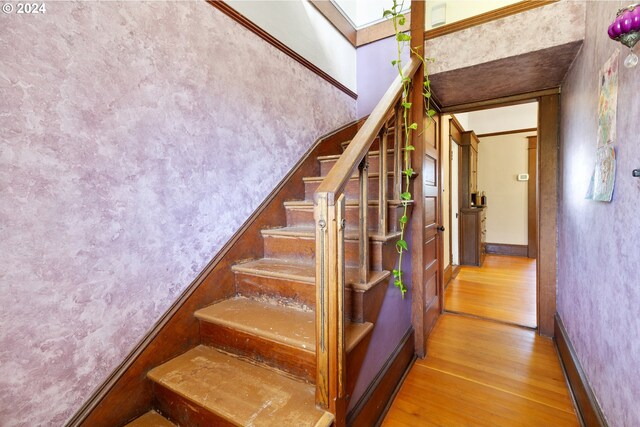 stairs with hardwood / wood-style floors