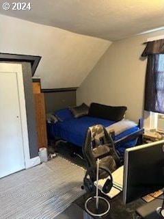 bedroom featuring lofted ceiling