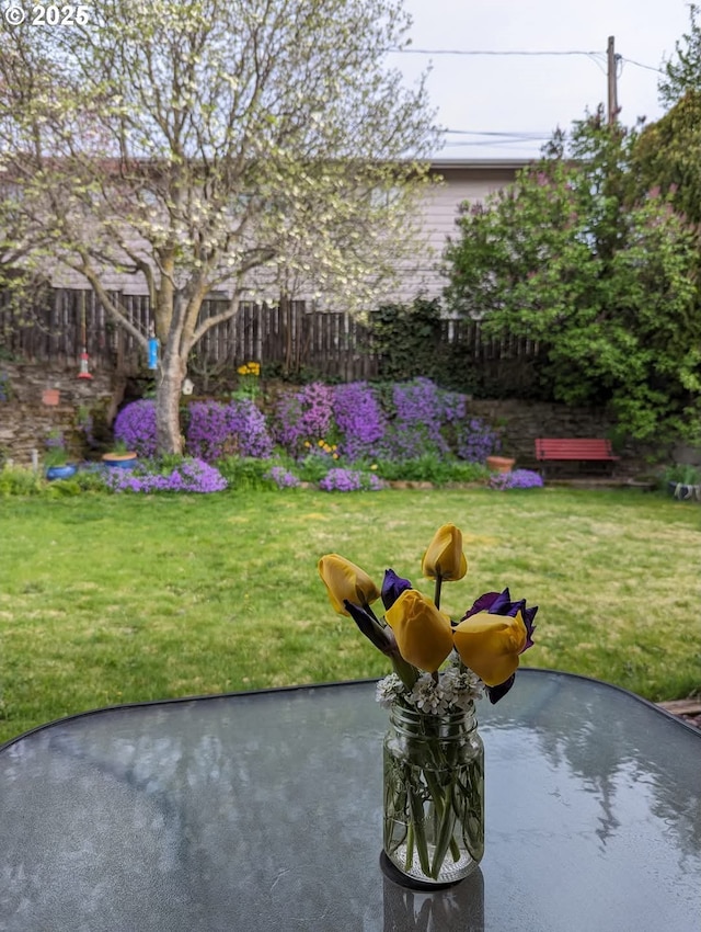 view of yard featuring a patio area