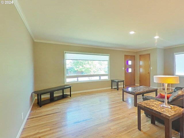 living room featuring light hardwood / wood-style floors and crown molding