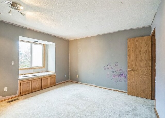 unfurnished room with a textured ceiling and light colored carpet