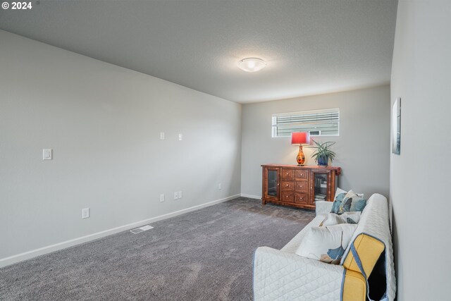 sitting room with dark carpet and a textured ceiling