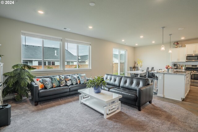 living room featuring sink and hardwood / wood-style floors