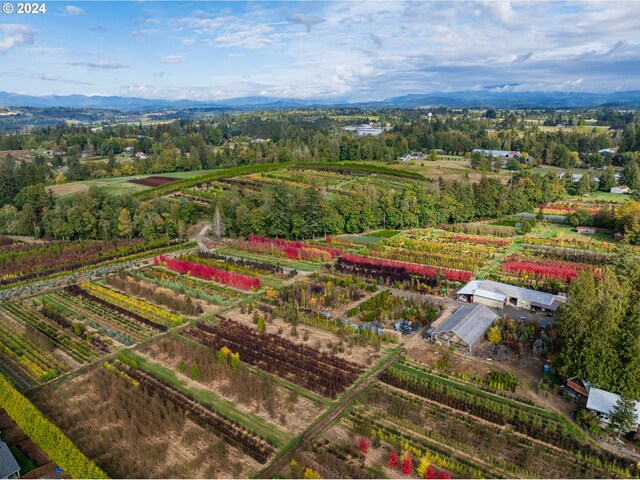 aerial view with a rural view