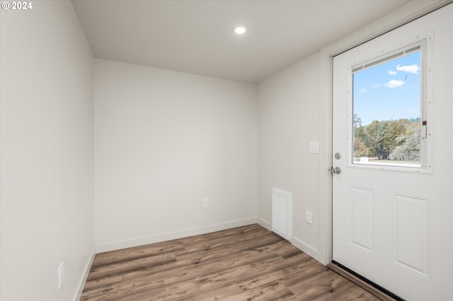 doorway featuring hardwood / wood-style flooring and a healthy amount of sunlight