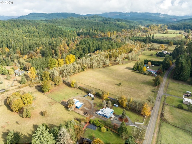 birds eye view of property with a mountain view