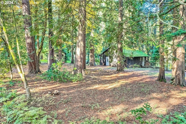 view of yard with an outbuilding