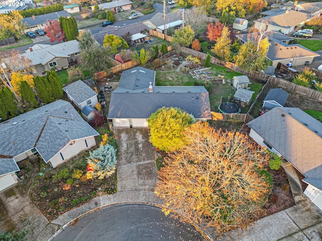 bird's eye view