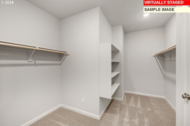 walk in closet featuring carpet floors