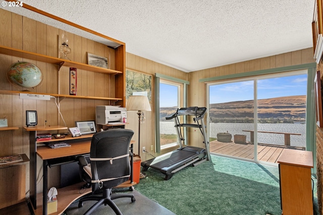 office space with carpet flooring, wooden walls, and a textured ceiling