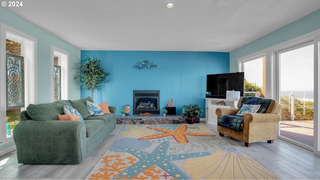 living room with light hardwood / wood-style flooring and a textured ceiling