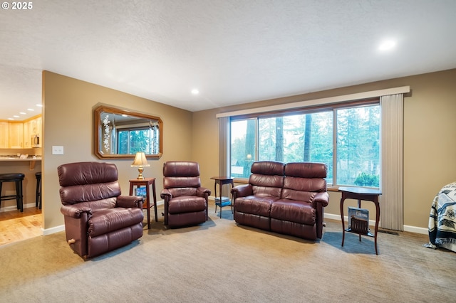 carpeted living room with a healthy amount of sunlight