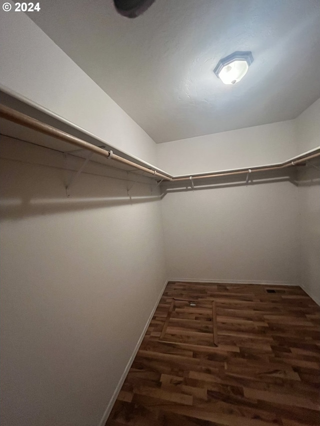 spacious closet featuring dark hardwood / wood-style floors