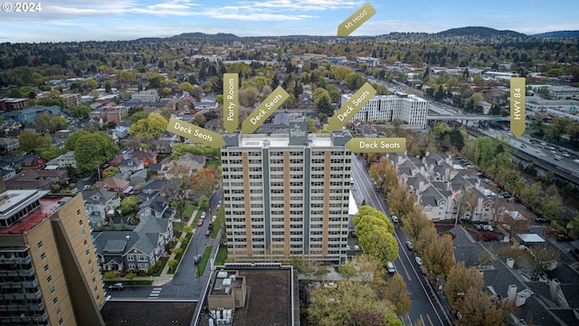 aerial view with a mountain view