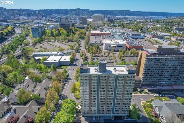 birds eye view of property featuring a mountain view