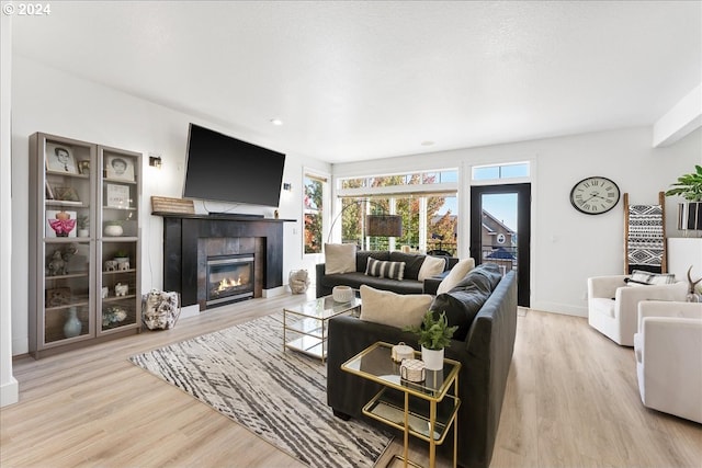 living room with light hardwood / wood-style floors