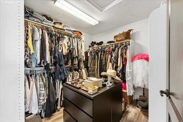 spacious closet featuring hardwood / wood-style floors