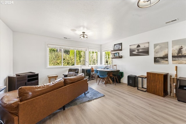 living room featuring light wood-type flooring and a textured ceiling