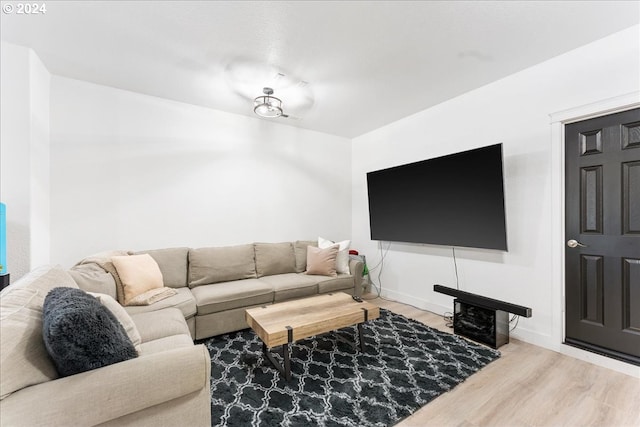 living room featuring hardwood / wood-style flooring