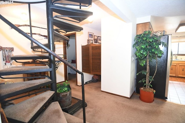 stairway featuring carpet flooring and sink