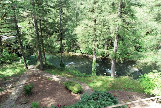 view of local wilderness featuring a water view