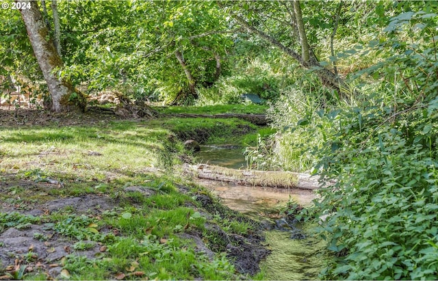 view of nature with a water view