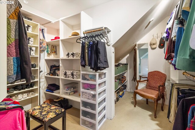 spacious closet featuring light colored carpet