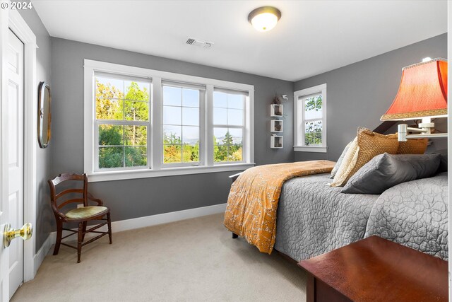 bedroom with multiple windows and light colored carpet