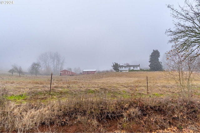 view of yard featuring a rural view