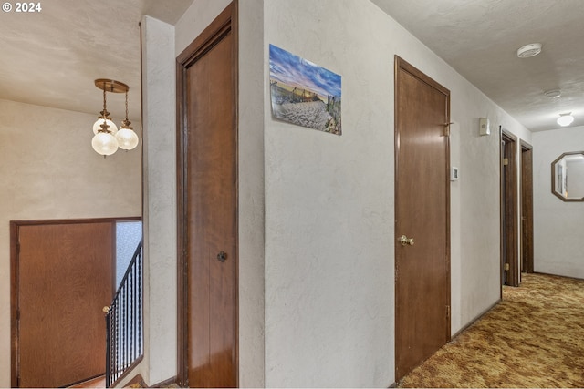 hallway featuring carpet