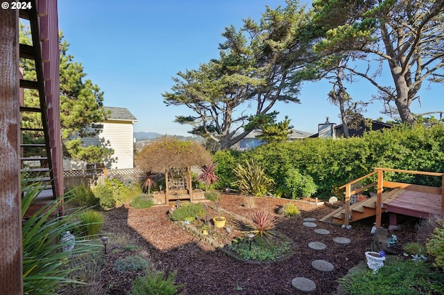 view of yard featuring a deck