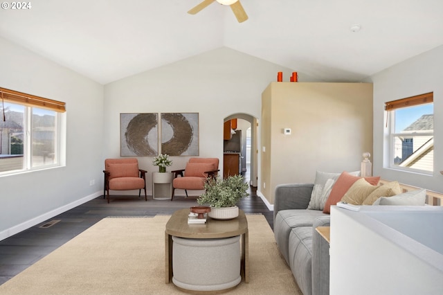 living room featuring a healthy amount of sunlight, dark hardwood / wood-style flooring, and vaulted ceiling