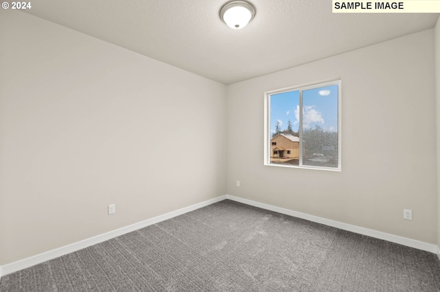 unfurnished room featuring carpet floors