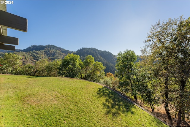 317 Aker Dr, Myrtle Creek, OR 97457 - view of grassy yard featuring a mountain view