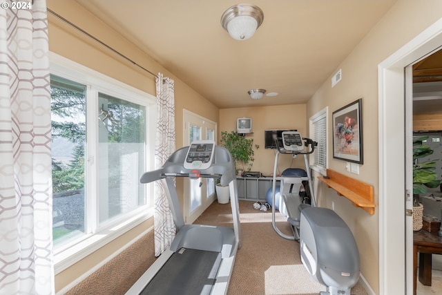 317 Aker Dr, Myrtle Creek, OR 97457 - exercise area with carpet flooring and baseboards