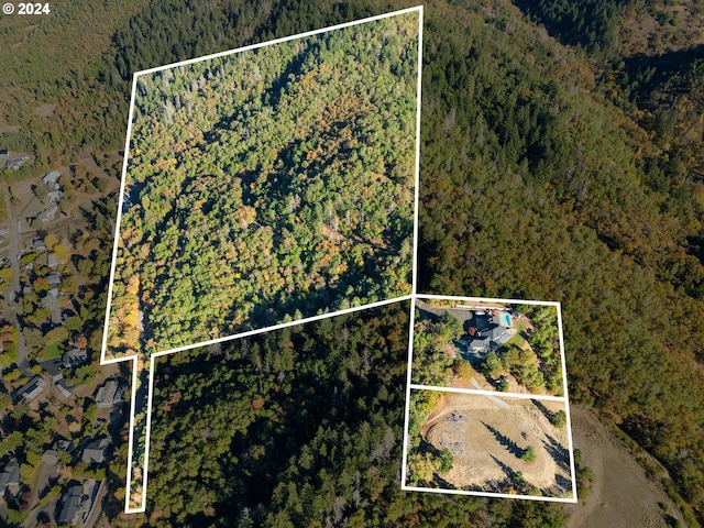 317 Aker Dr, Myrtle Creek, OR 97457 - map / location with property parcel outlined