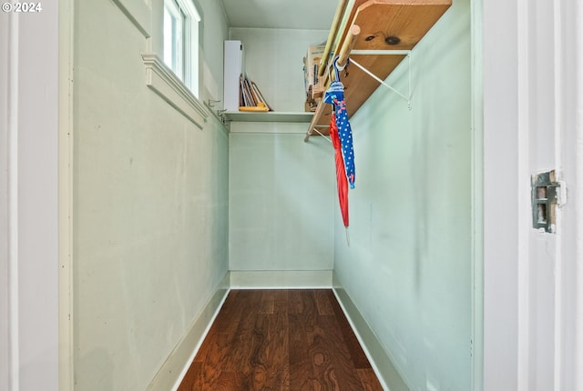 spacious closet with dark wood-type flooring