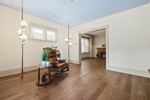 sitting room with wood-type flooring and a fireplace