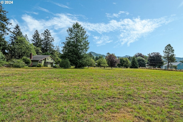 view of yard with a rural view