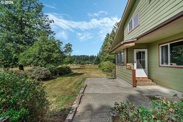 view of yard featuring a patio area