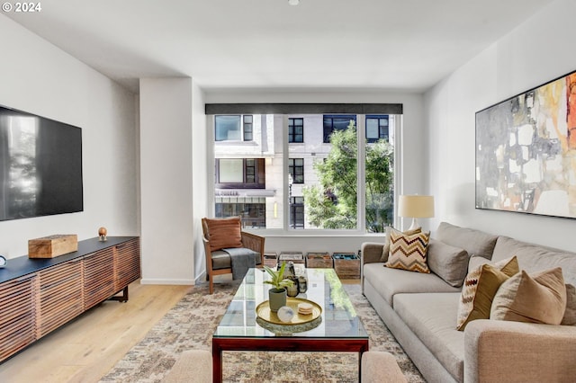 living room with light hardwood / wood-style floors