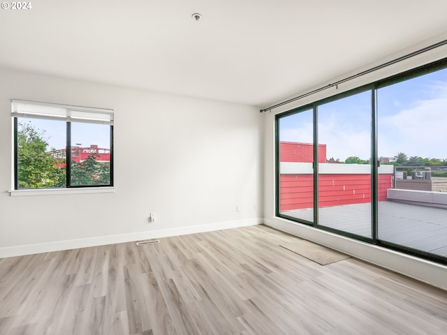 spare room featuring light wood-type flooring and a wealth of natural light