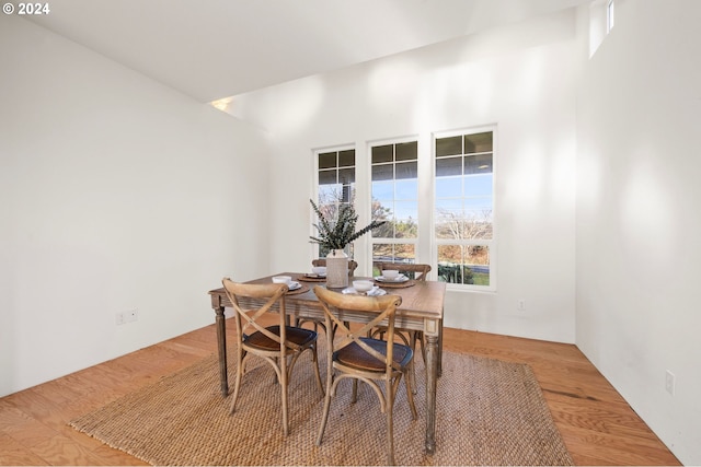 dining room with wood-type flooring