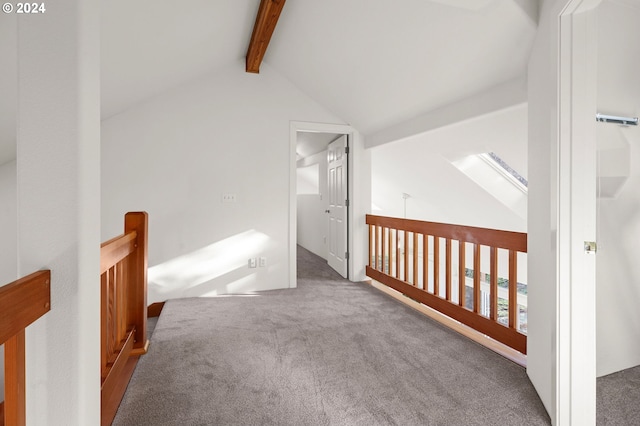 additional living space with carpet flooring and vaulted ceiling with skylight