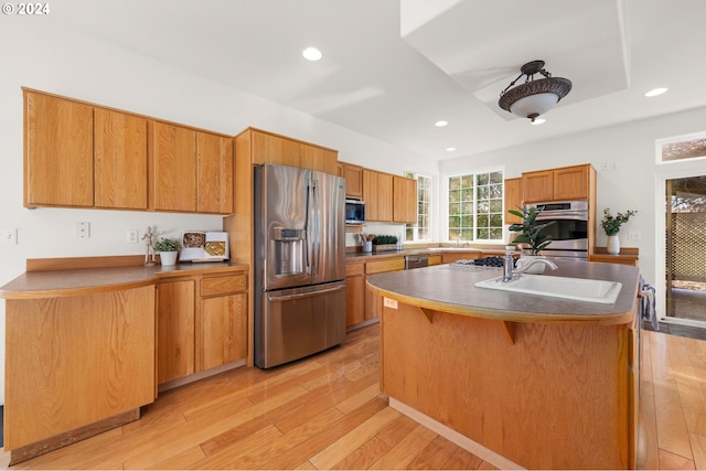 kitchen featuring light wood-type flooring, stainless steel appliances, a center island with sink, and sink