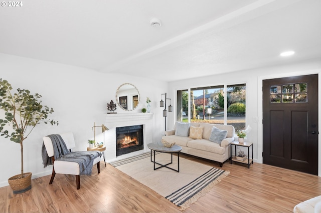 living room featuring light hardwood / wood-style floors