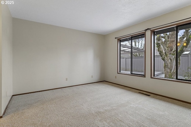 unfurnished room featuring light colored carpet, visible vents, baseboards, and a textured ceiling